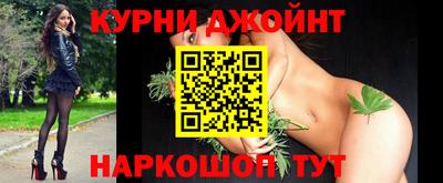 индика Будённовск
