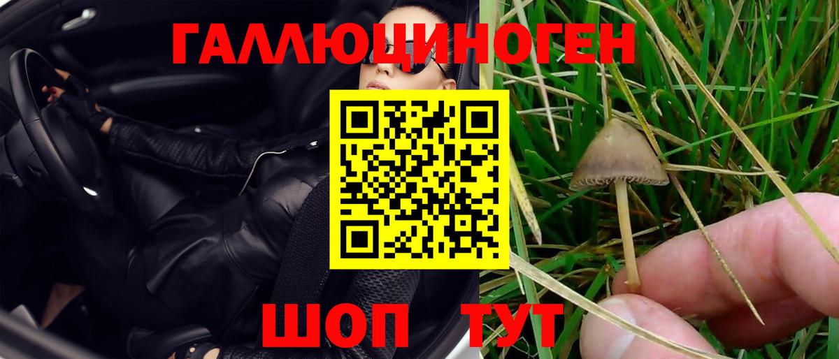 Галлюциногенные грибы GOLDEN TEACHER  Вход с VPN  Приморско-Ахтарск 