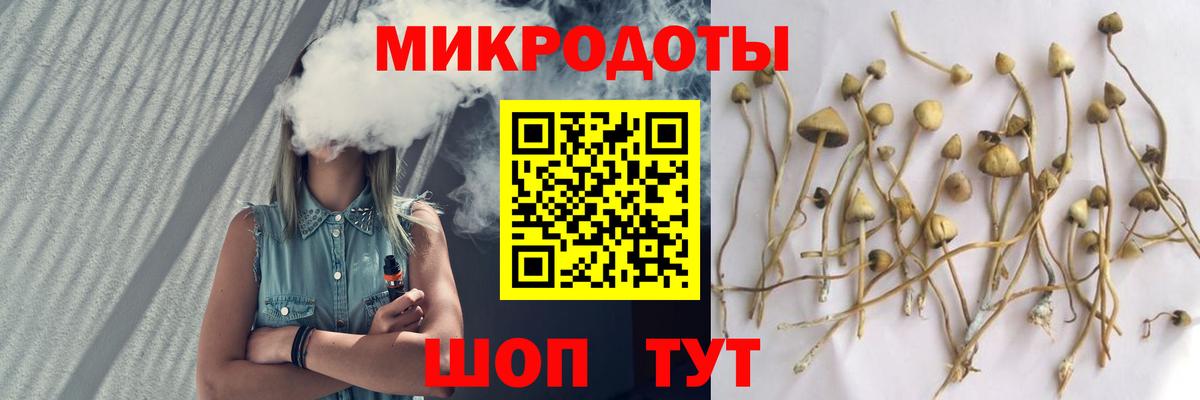 Псилоцибиновые грибы мицелий Приморско-Ахтарск